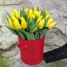 Приносящие удачу Желтые тюльпаны в коробке с доставкой в Пятигорске