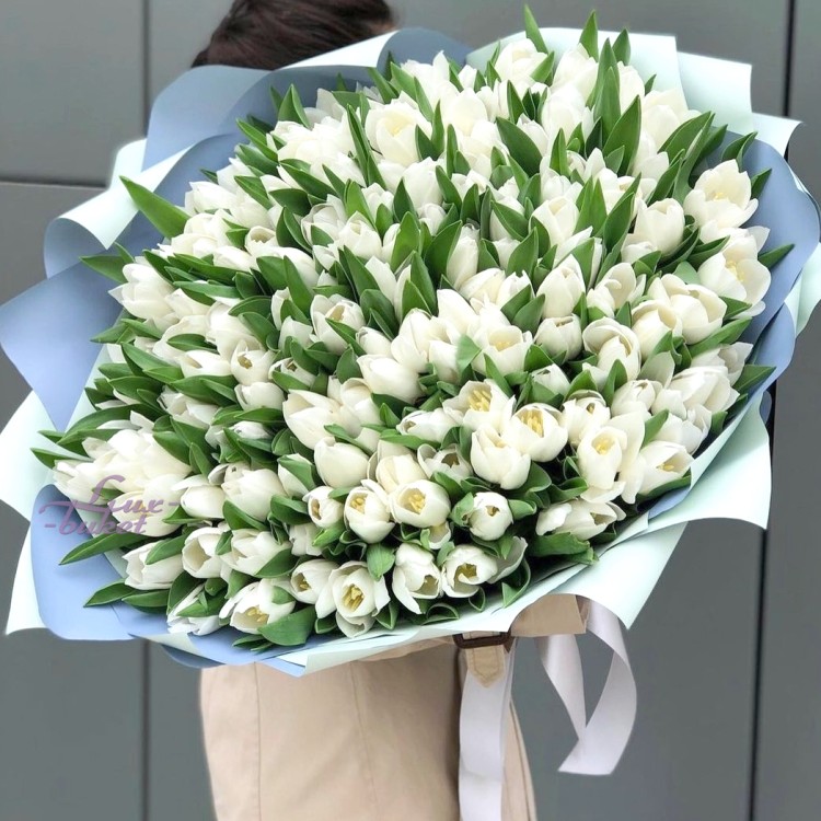 Большой букет белых тюльпанов с доставкой в Пятигорске