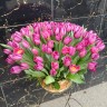 101 тюльпан в корзине с доставкой в Пятигорске