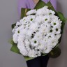 Букет белых хризантем  с доставкой в Пятигорске